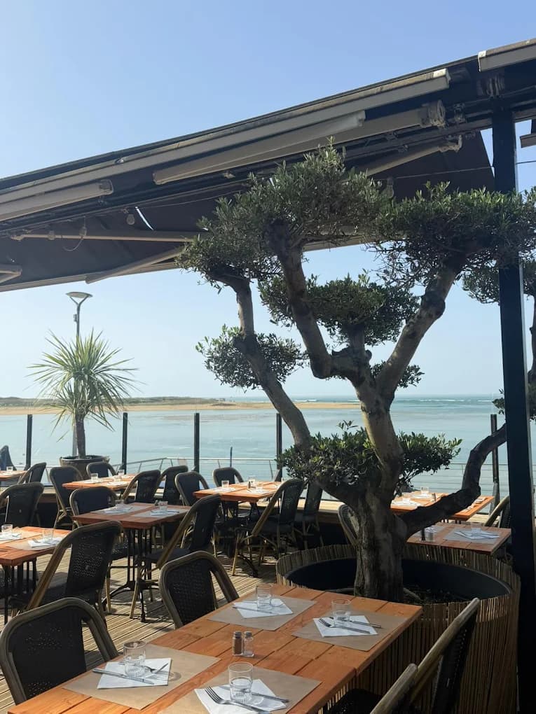 Terrasse de Coco Beach face à l'océan, palmiers et oliviers à Guidel Plage